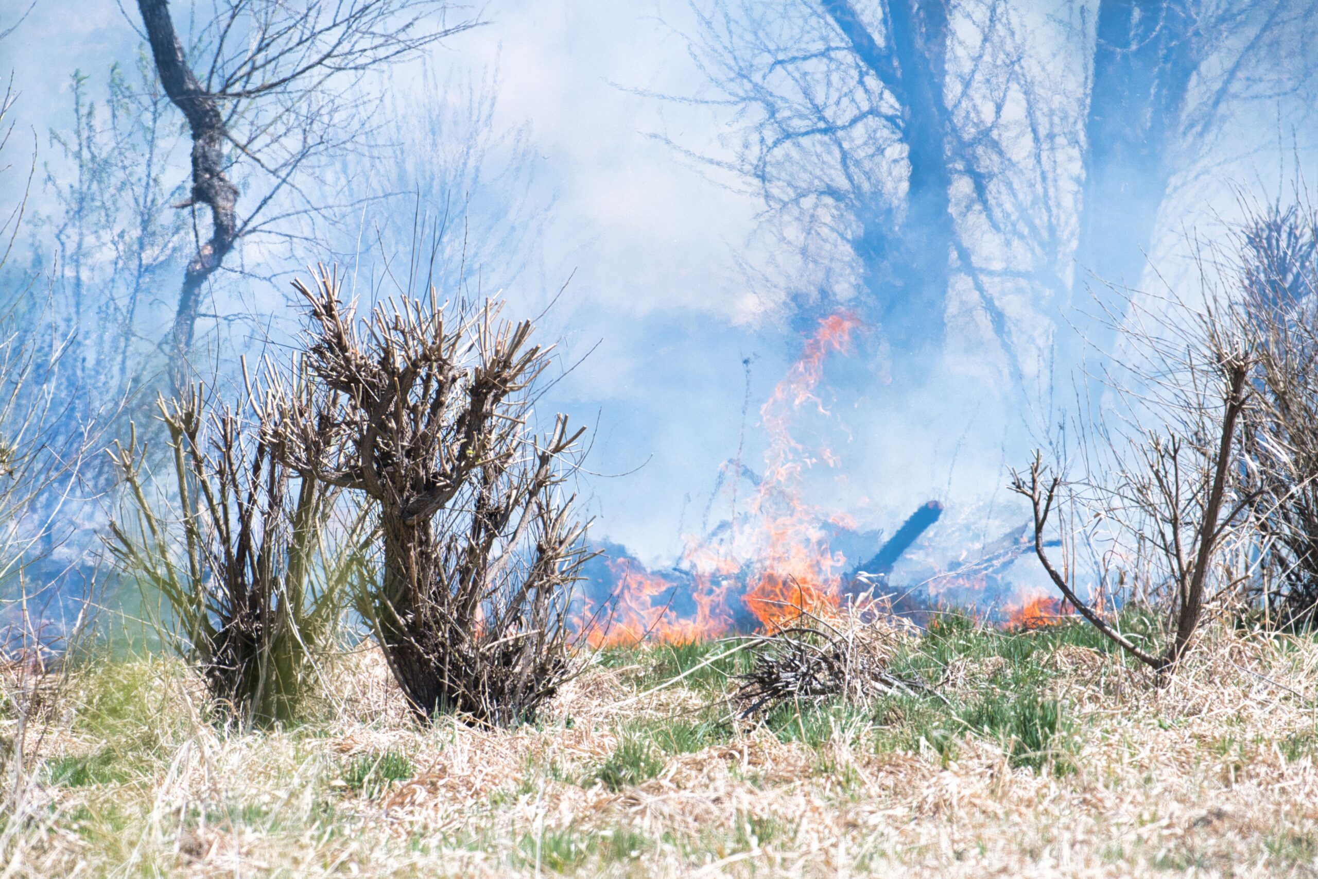 Risque d'incendie de forêt à l'origine des Obligations Légales de Débroussaillement